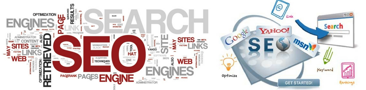 Professional Seo Service for Website, Hogo World